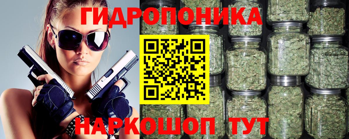 Чернушка  Шишки марихуана тримм  Вход с VPN  МАРИХУАНА марихуана  Бошки Шишки план  Шишки марихуана гибрид 